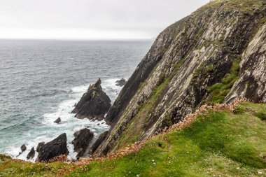Dingle, Kerry, İrlanda 'daki kayalıklar, bitki örtüsü ve dalgalar