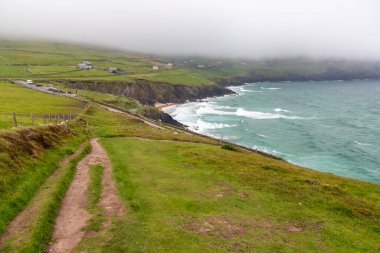 Dunmore Head, Dingle, Kerry, İrlanda 'daki kayalıklar, bitki örtüsü ve dalgalar