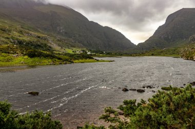 Dunloe Gap Gap üzerinde kayalar ve bitki örtüsüyle, Killarney, Kerry, İrlanda