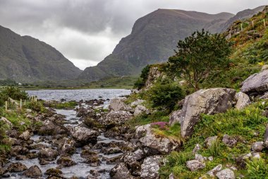 Dunloe Gap Gap 'te kayalar ve bitki örtüsüyle Killarney, Kerry, İrlanda