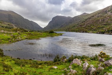 Dunloe Gap Gap 'te kayalar ve bitki örtüsüyle Killarney, Kerry, İrlanda