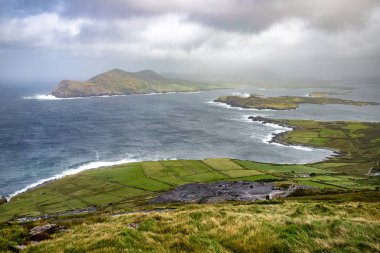 Tarlalarda ve okyanusta sis, Valentia adası, Kerry, İrlanda