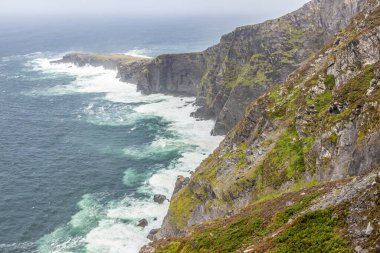 Kayalıklar, okyanus ve bitki örtüsü, Valentia adası, Kerry, İrlanda