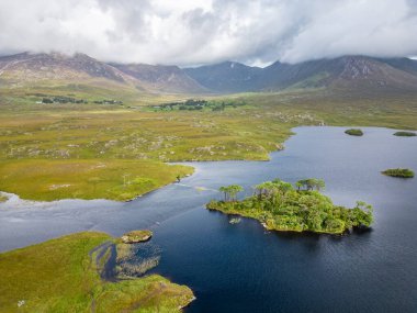 Derryclare Lough, Conemara, Galway, İrlanda 'daki On İki Çam Hava Manzarası
