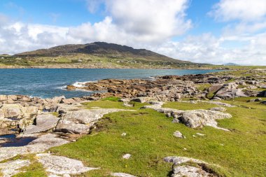 Çimenli, taşlı ve kumlu sahil, Dogs Bay, Roundstone, Conemara, Galway, İrlanda