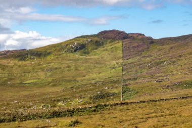 Granuaile Döngü Yolu çiçek ve bitki örtüsüyle kaplı, Derreen, Achill Adası, Mayo, İrlanda