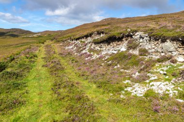 Granuaile Döngü Yolu çiçek ve bitki örtüsüyle kaplı, Derreen, Achill Adası, Mayo, İrlanda