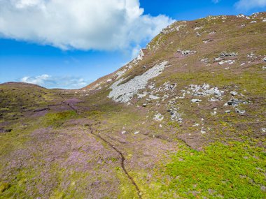 Granuaile Döngü Yolu 'nun hava manzarası bataklıktaki turba delikleri, kayalar, çiçekler ve bitki örtüsü Derreen, Achill Adası, Mayo, İrlanda