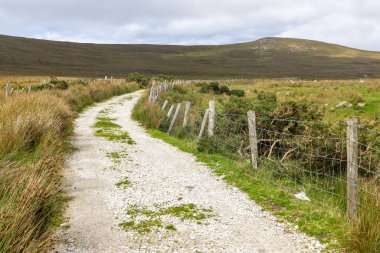 Tipik İrlanda çiftlik yolu ve tarlaları, Keel West, Slievemore, Achill Adası, Mayo, İrlanda
