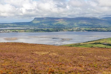 Arka planda okyanus bulunan Knocknarea dağ bitkileri, Grange North, Knockaree, Sligo, İrlanda
