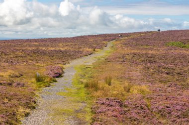Knocknarea Dağı üzerinde, Grange North, Knockaree, Sligo, İrlanda
