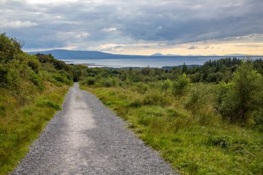 Arkasında okyanus olan Benbulbin Ormanı, Barnaribbon, County Sligo, Irlanda