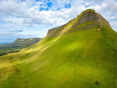 Koyun, kaya ve bitki örtüsü, Barnaribbon, County Sligo, Irlanda