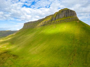 Koyun, kaya ve bitki örtüsü, Barnaribbon, County Sligo, Irlanda