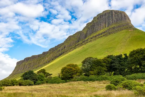 Kayalar ve bitkilerle Benbulbin Dağı, Barnaribbon, County Sligo, Irlanda