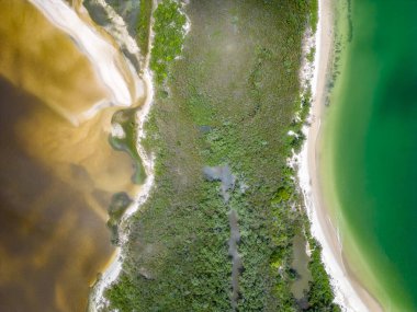 Vahşi Pontal Plajı, Florianopolis, Santa Catarina, Brezilya