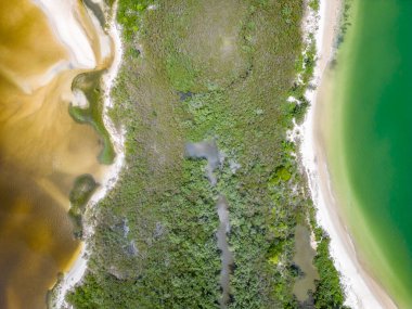 Vahşi Pontal Plajı, Florianopolis, Santa Catarina, Brezilya