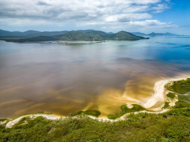 Vahşi Pontal Plajı, Florianopolis, Santa Catarina, Brezilya