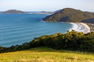 Ormanı ve binaları olan Brava plajı, Florianopolis, Santa Catarina, Brezilya