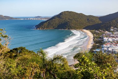 Ormanı ve binaları olan Brava plajı, Florianopolis, Santa Catarina, Brezilya