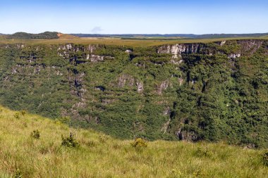 Fortaleza Kanyonu, Cambara do Sul, Rio Grande do Sul, Brezilya 'da bitki örtüsü, orman ve kayalar