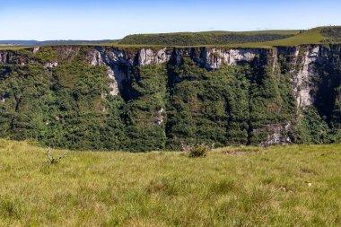 Fortaleza Kanyonu, Cambara do Sul, Rio Grande do Sul, Brezilya 'da bitki örtüsü, orman ve kayalar