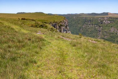 Fortaleza Kanyonu 'ndaki bitki ve kayalar, Cambara do Sul, Rio Grande do Sul, Brezilya