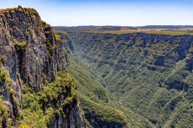 Orman, nehir, kayalar ve dağlar Fortaleza Kanyonu, Cambara do Sul, Rio Grande do Sul, Brezilya