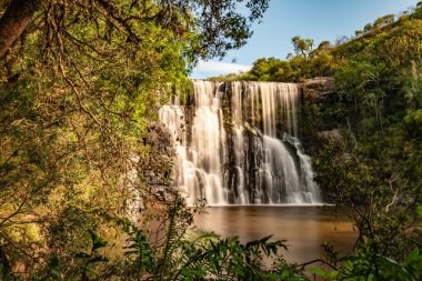 Ormanlı, kayalı ve bitkisel şelaleli, Cambara do Sul, Rio Grande do Sul, Brezilya
