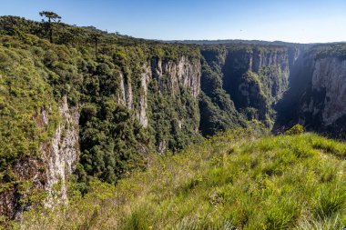 Itaimbezinho Kanyonu 'ndaki orman ve uçurumlar, Cambara do Sul, Rio Grande do Sul, Brezilya
