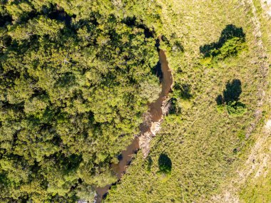 Küçük bir Araucaria ormanı ve nehri olan bir tarlanın havadan görünüşü, Cambara do Sul, Rio Grande do Sul, Brezilya