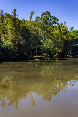 Redencao Park 'taki göl, Porto Alegre, Rio Grande do Sul, Brezilya