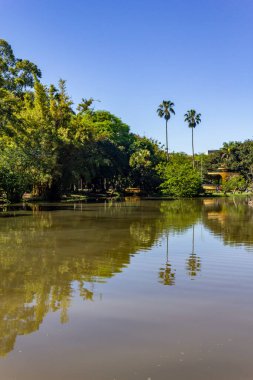 Redencao Park 'taki göl, Porto Alegre, Rio Grande do Sul, Brezilya