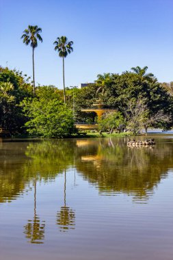Redencao Park 'taki göl, Porto Alegre, Rio Grande do Sul, Brezilya