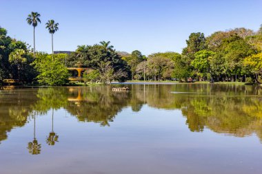 Redencao Park 'taki göl, Porto Alegre, Rio Grande do Sul, Brezilya