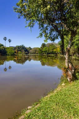 Redencao Park 'taki göl, Porto Alegre, Rio Grande do Sul, Brezilya