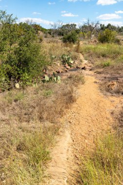 Inks Gölü, Burnet, Teksas, ABD 'deki kaya ve bitki örtüsünün etrafındaki patikalar