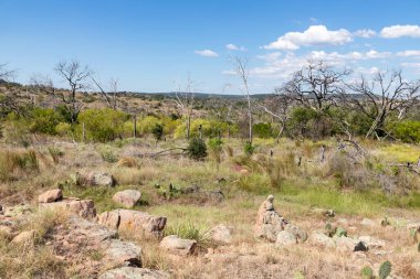Inks Gölü, Burnet, Teksas, ABD çevresindeki bitki ve kayalar