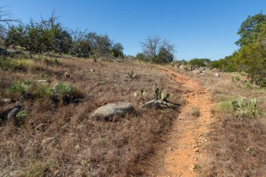 Inks Gölü, Burnet, Teksas, ABD 'deki kaya ve bitki örtüsünün etrafındaki patikalar