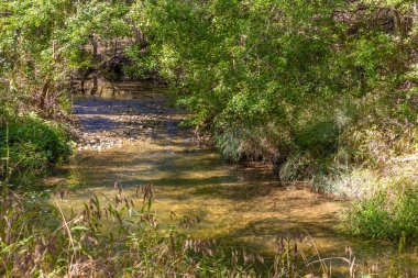 Brushy Creek Bölgesel Yolu 'ndaki ağaçlı su akıntısı, Cedar Park, Teksas, ABD