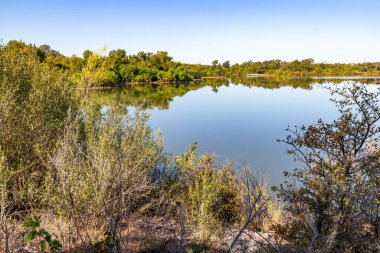 Brushy Creek Bölgesel Yolu 'ndaki ağaçlarla gölün yansıması, Cedar Park, Teksas, ABD
