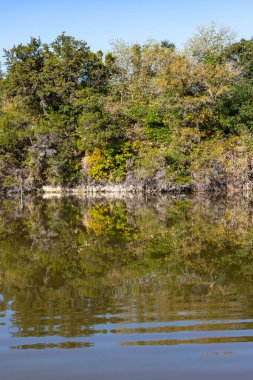 Brushy Creek Bölgesel Yolu 'ndaki ağaçlarla gölün yansıması, Cedar Park, Teksas, ABD