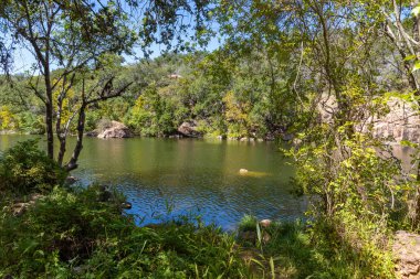 Vegetation around Inks lake, Burnet, Texas, USA clipart