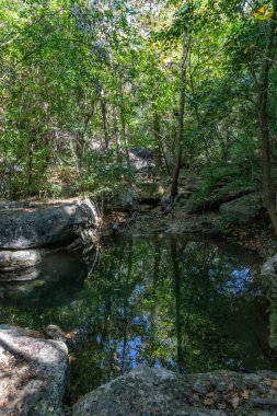 River Place Doğa Yolu 'ndaki nehir yansıması, Austin, Teksas, ABD