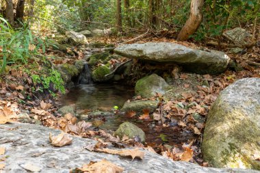 River Place Doğa Yolu, Austin, Teksas, ABD