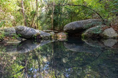 River Place Doğa Yolu 'ndaki nehir yansıması, Austin, Teksas, ABD