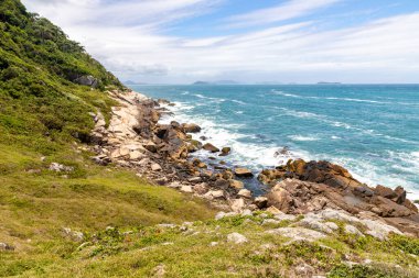 Casqueiro Yolu, Garopaba, Santa Catarina, Brezilya sahilinde orman, kayalar ve bitki örtüsü
