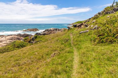 Rocks and vegetation on the beach at Casqueiro trail, Garopaba, Santa Catarina, Brazil clipart