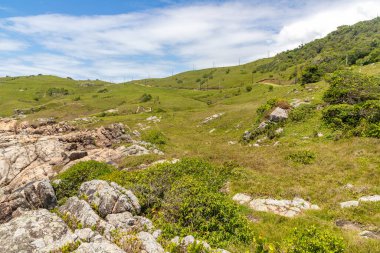 Casqueiro patikasında kayalar ve bitki örtüsü, Garopaba, Santa Catarina, Brezilya