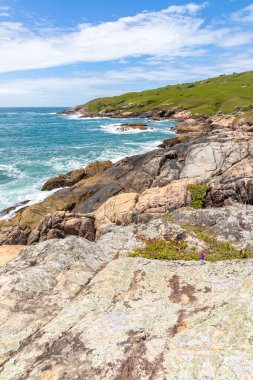 Rocks and vegetation on the beach at Casqueiro trail, Garopaba, Santa Catarina, Brazil clipart